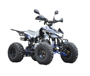 Квадроцикл ATV R-moto Lion 130 S