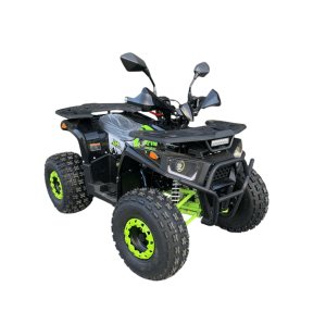 Квадроцикл ATV R-moto Lion 125 AY