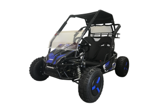 Багги электрический SCANMOTO RAPID