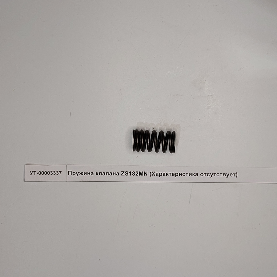 Пружина клапана ZS182MN Пружина клапана ZS182MN