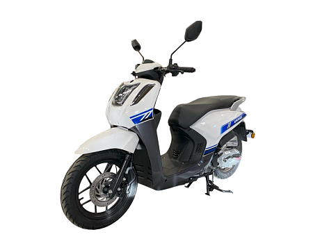 Скутер PROMAX Grand 240